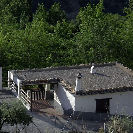 Turismo Rural & Spa El Cercado Berchules Ngoại thất bức ảnh